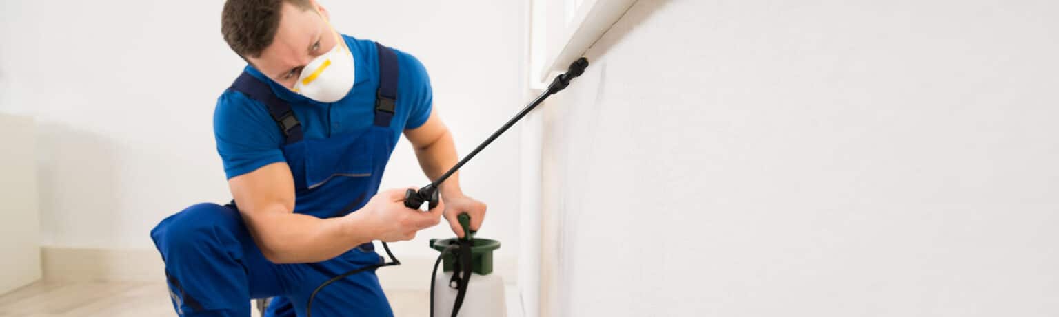 Pest Inspection Service in Dubai