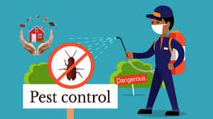 Licensed Pest Control Company in Dubai