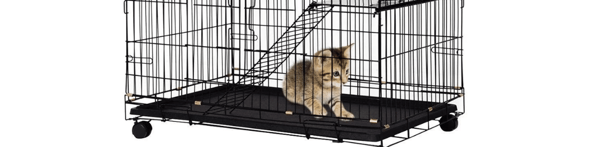 A small kitten inside a spacious black wire cage with a solid base and wheels, providing a safe and temporary containment solution.