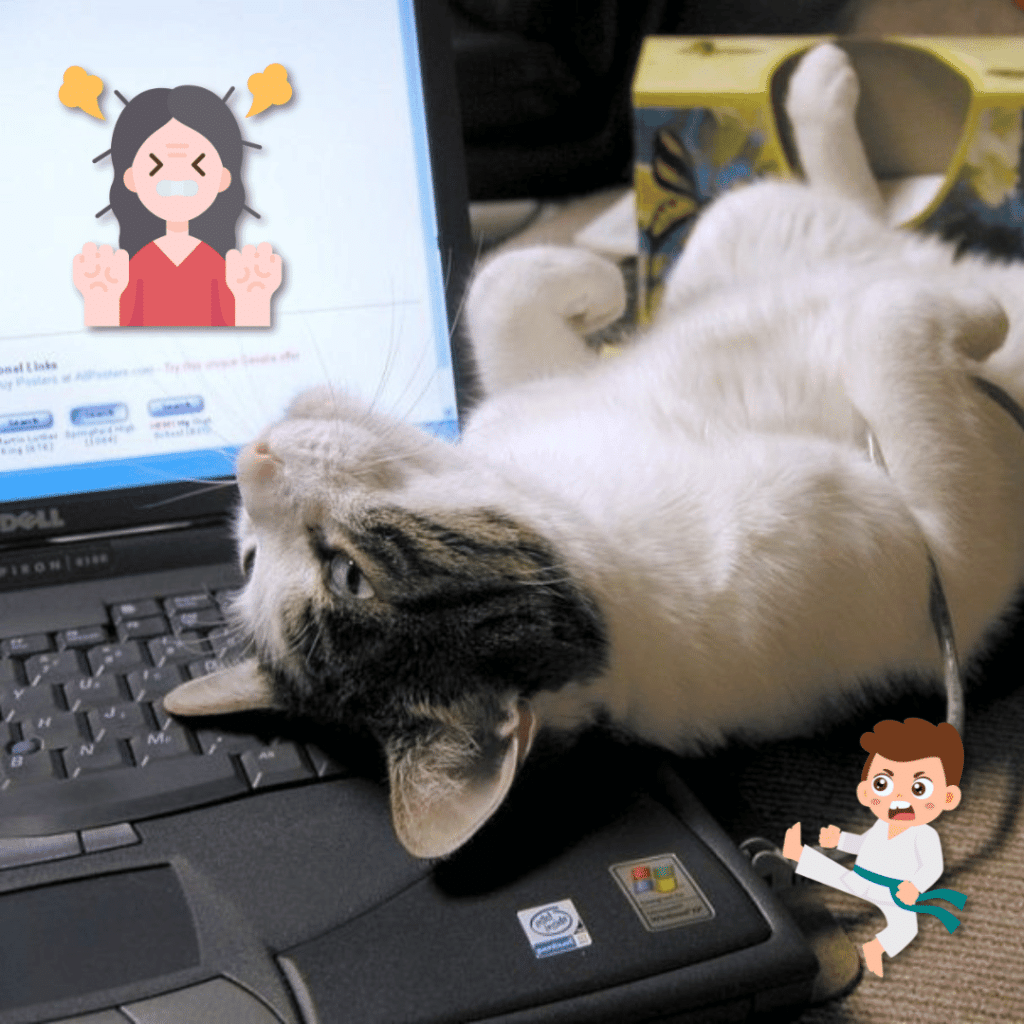 Cat is irritating a man using laptop