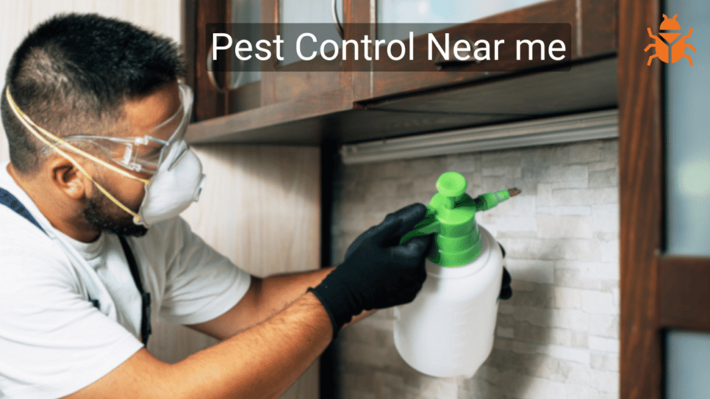 Pest Control Near Me – Professional exterminator spraying pesticide in a kitchen, wearing gloves, mask, and safety goggles.