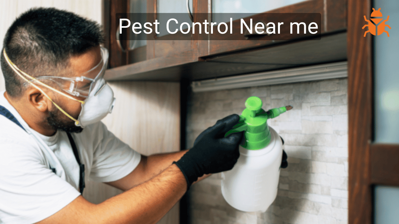 Pest Control Near me