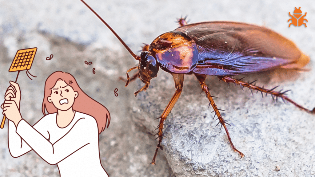 A close-up of a cockroach on a surface, with an illustration of a frustrated person holding a fly swatter on the left. The image conveys the challenge of dealing with cockroach infestations and emphasizes the need for professional pest control services.