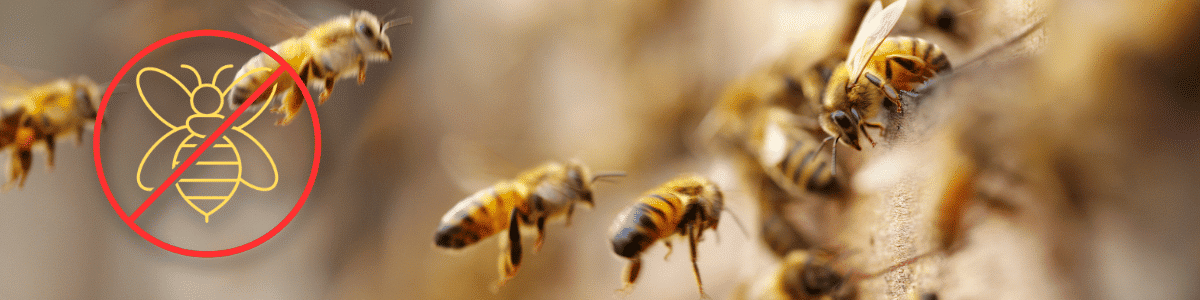 Depicting honey bees in flight near a hive, promoting honey bee control services. A red crossed-out symbol with a yellow bee icon on the left indicates a focus on preventing or controlling bee infestations