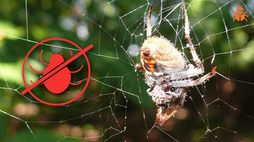 A large spider sitting on its web in a garden with a red pest control symbol indicating protection from bugs. The background is blurred greenery, and a small orange insect icon is in the corner.