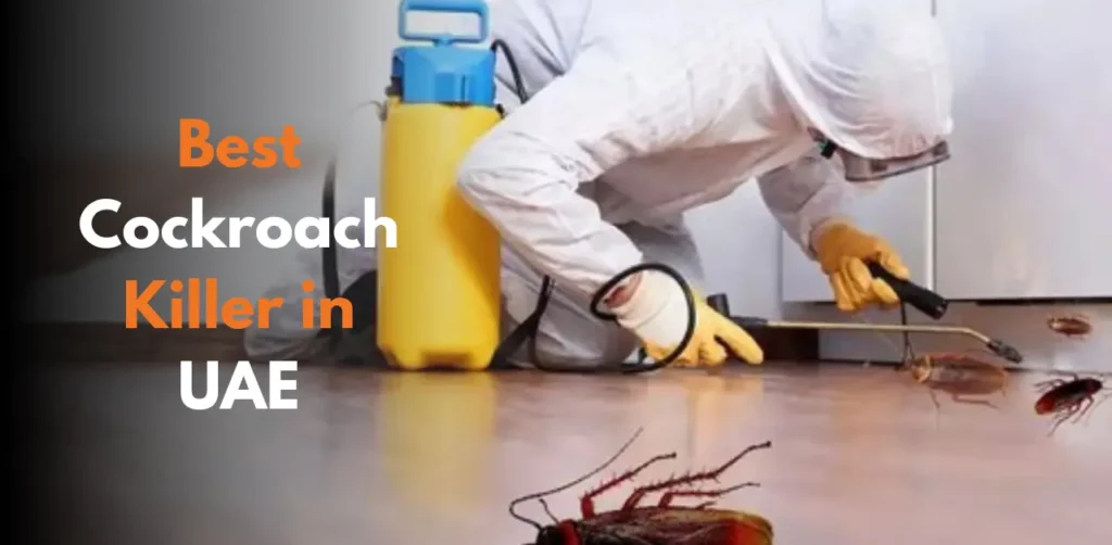 A pest control expert spraying the best cockroach killer in UAE to eliminate cockroaches from a home kitchen.