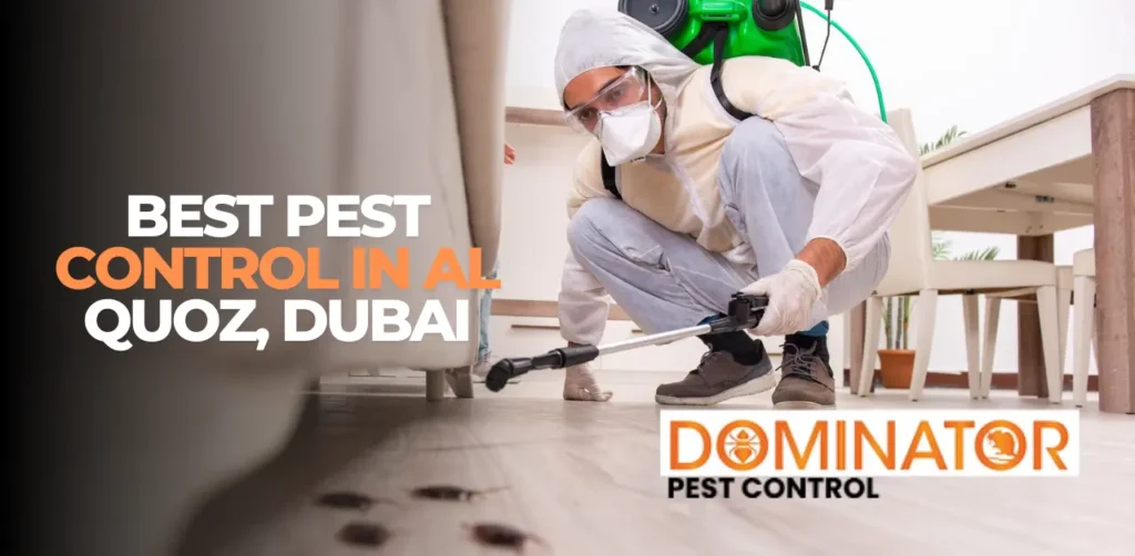 affordable pest control in al quoz, dubai