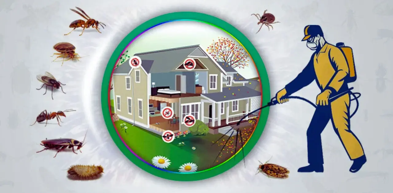 Dominator Pest Control providing professional pest control services in Al Qusais, Dubai, for homes and businesses.