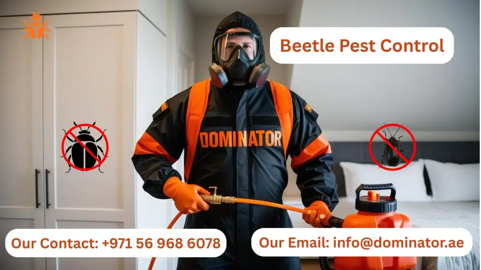 Beetle Pest Control
