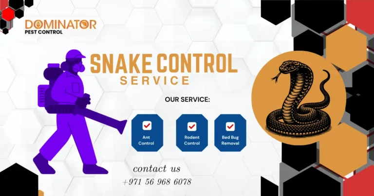 Snake pest control dubai