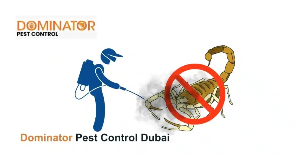 Scorpion Control Dubai blog image