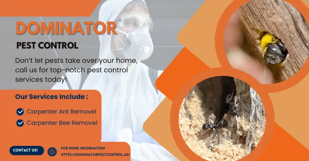 Carpenter Ants & Carpenter Bees 