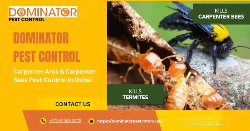 Carpenter Ants & Carpenter Bees