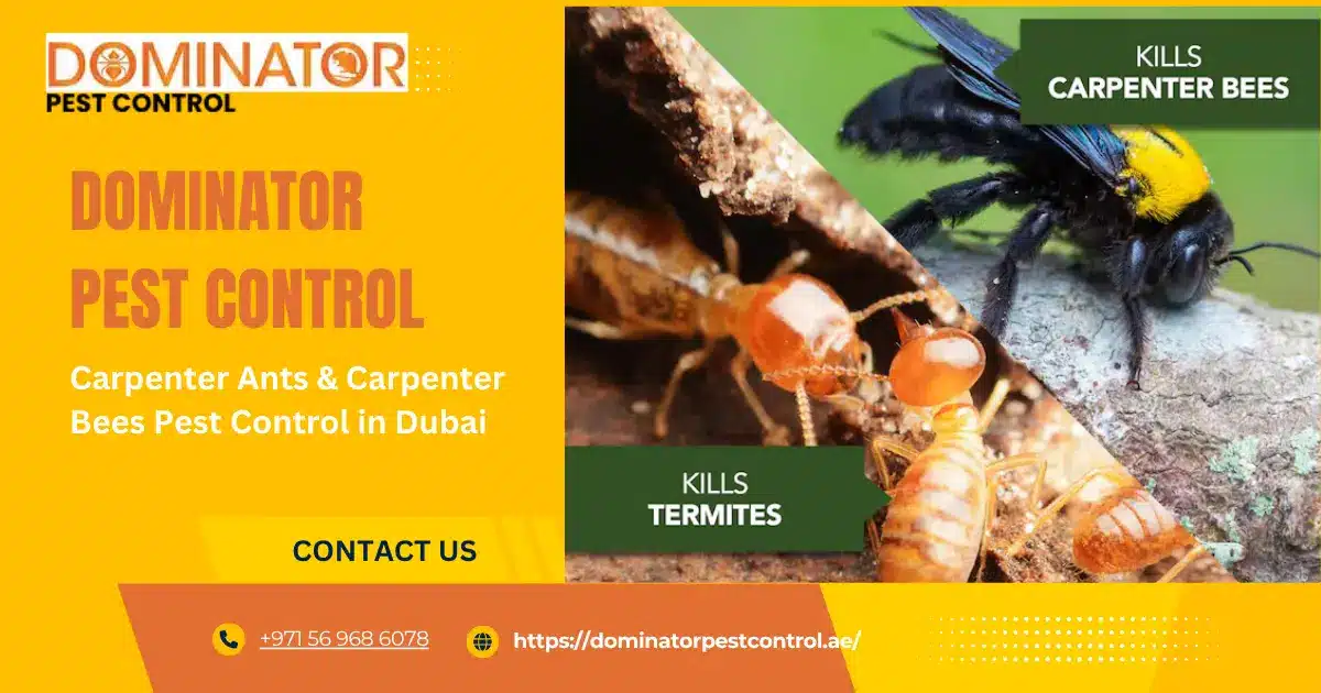 Carpenter Ants & Carpenter Bees