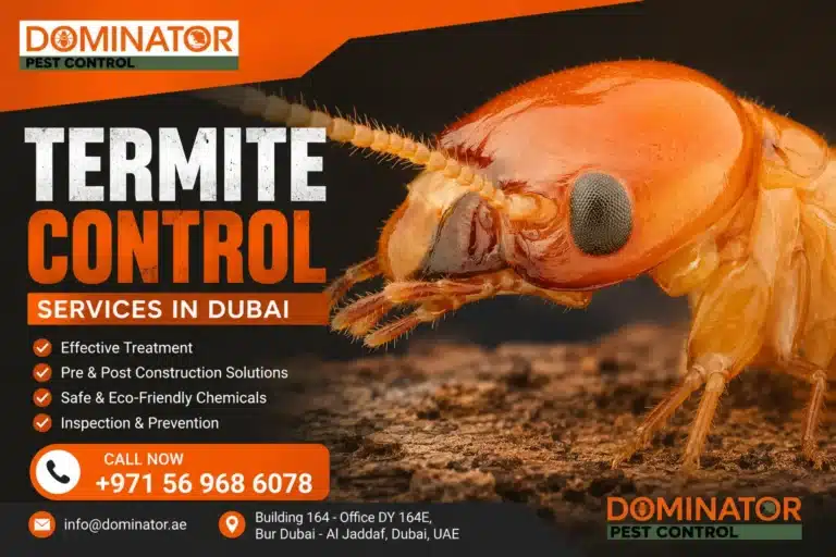 termite treatment cost dubai