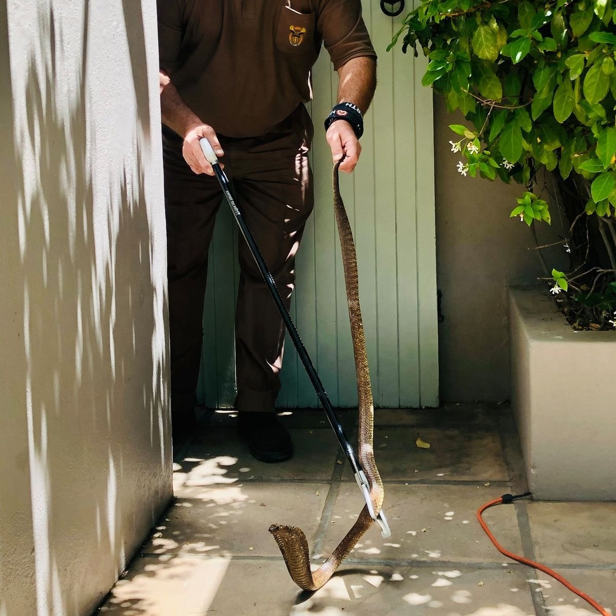 Technician applying organic snake repellent barrier in Dubai villa garden